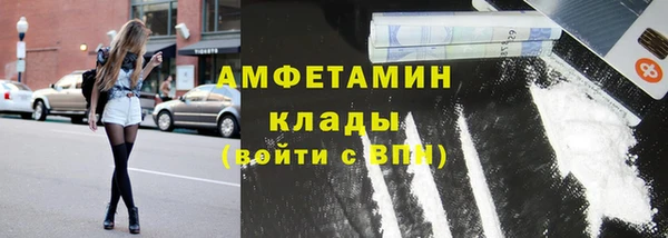 молекула духа Арсеньев