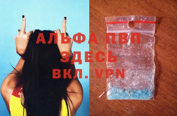 молекула духа Арсеньев