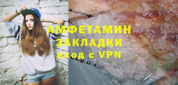 молекула духа Арсеньев