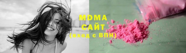 молекула духа Арсеньев