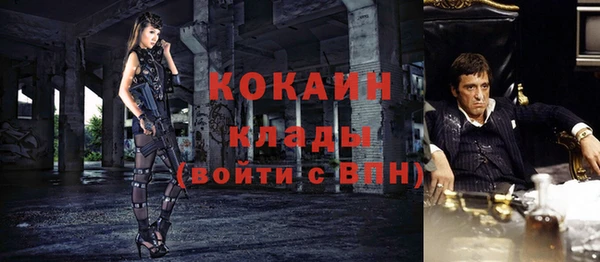 молекула духа Арсеньев