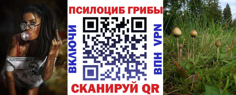 OMG рабочий сайт  Свободный  Галлюциногенные грибы Magic Shrooms 