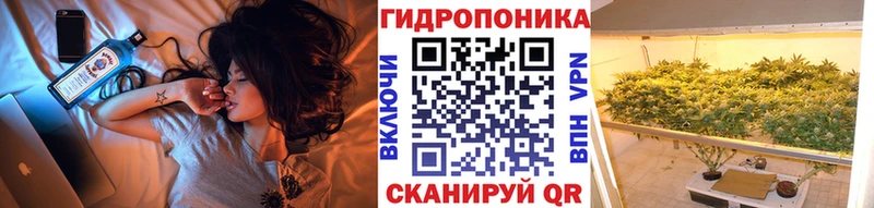 Бошки Шишки планчик Свободный